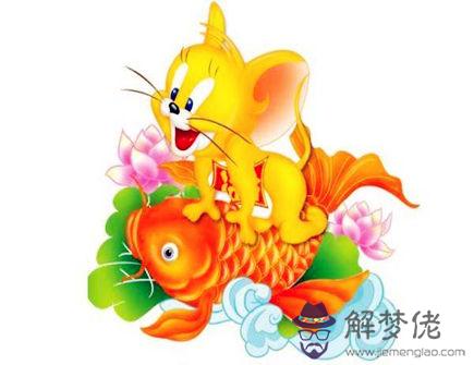 屬鼠人有什麽性格特征 屬鼠人有什麽性格特征