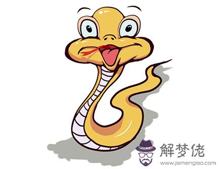 生肖蛇2020年正財運如何 生肖蛇2020年正財運如何