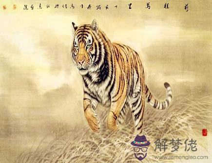 屬虎人幾點出生好 屬虎人幾點出生好