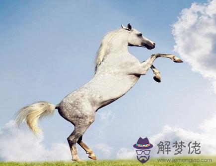 屬馬人幾點出生好 屬馬人幾點出生好