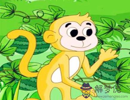 屬猴人幾點出生好 屬猴人幾點出生好