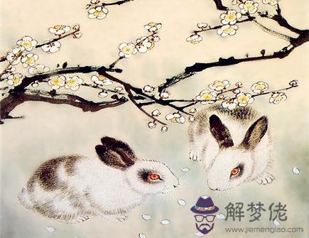 生肖兔2021年正財運如何 生肖兔2021年正財運如何