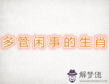 多管閑事的生肖 多管閑事的生肖