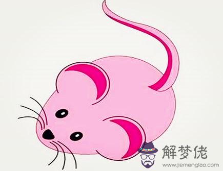 生肖鼠2021年正財運如何 生肖鼠2021年正財運如何