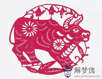 哪個月份的屬牛人命最好 哪個月份的屬牛人命最好