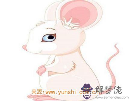 屬鼠人本命年結婚好不好 屬鼠人本命年結婚好不好