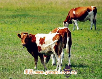 2021年十月出生人的命運 2021年十月出生人的命運