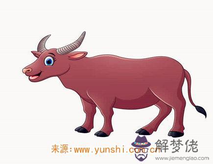 2021年十二月出生人的命運 2021年十二月出生人的命運