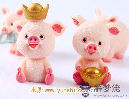 屬豬男在乎一個人的表現 屬豬男在乎一個人的表現