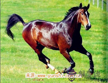 屬馬人的財神方位 屬馬人的財神方位