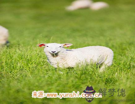 屬羊人的財神方位 屬羊人的財神方位