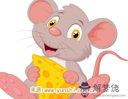 如何討屬鼠女生的喜歡 如何討屬鼠女生的喜歡