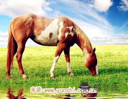 屬馬男生的戀愛特點 屬馬男生的戀愛特點