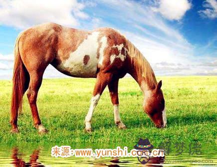 屬馬女生的戀愛特點 屬馬女生的戀愛特點