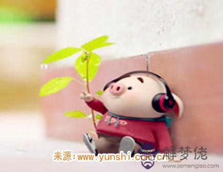 屬豬女生的戀愛特點 屬豬女生的戀愛特點