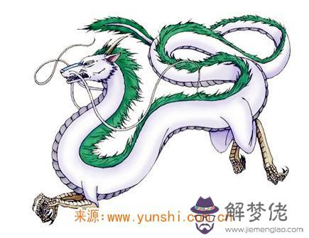 屬龍的缺點有哪些 屬龍的缺點有哪些