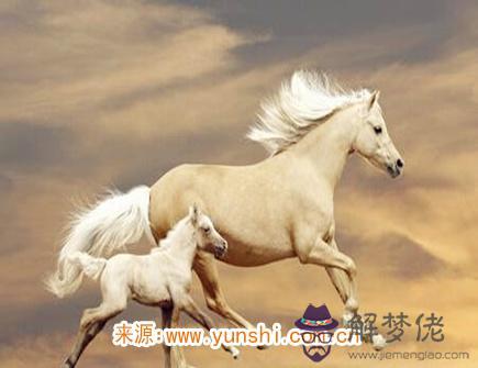 屬馬的缺點有哪些 屬馬的缺點有哪些