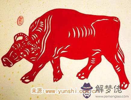 屬牛女生戀愛的特點 屬牛女生戀愛的特點