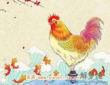 屬雞人出生時的命運 屬雞人出生時的命運