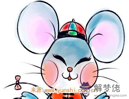 屬鼠的缺點有哪些 屬鼠的缺點有哪些