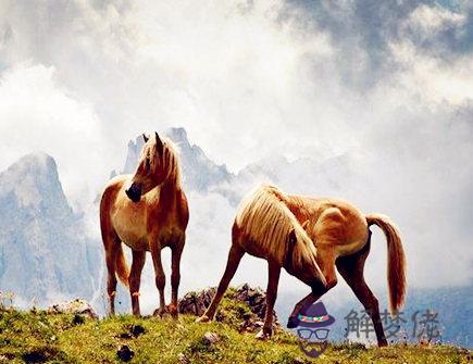 屬馬人出生日的命運 屬馬人出生日的命運