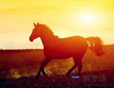 屬馬人出生月的命運 屬馬人出生月的命運