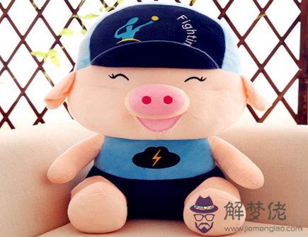 屬豬男找女朋友的標準 屬豬男找女朋友的標準