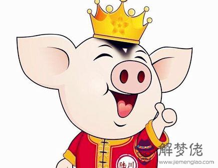 屬豬招財必備的法寶 屬豬招財必備的法寶