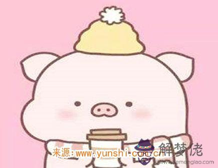 屬豬最吸引人的地方 屬豬最吸引人的地方