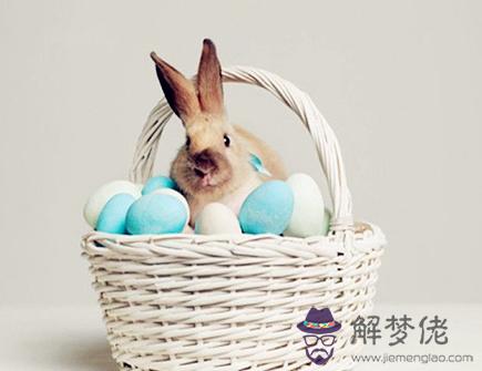 屬兔佩戴什麽旺財 屬兔佩戴什麽旺財