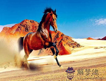 屬馬招財必備的法寶 屬馬招財必備的法寶