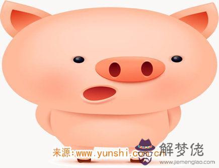 屬豬2020年會遇到哪些災難 屬豬2020年會遇到哪些災難