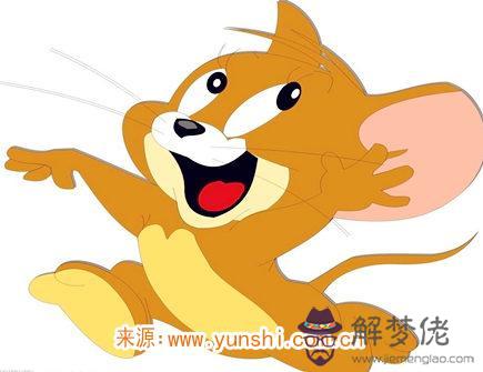 屬鼠最吸引人的地方 屬鼠最吸引人的地方