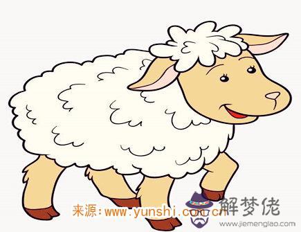 屬羊最吸引人的地方 屬羊最吸引人的地方