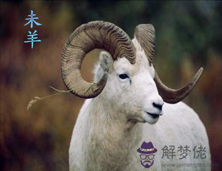 屬羊遇小人怎麽辦 屬羊遇小人怎麽辦