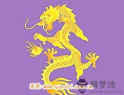 屬龍紋身紋什麽旺財