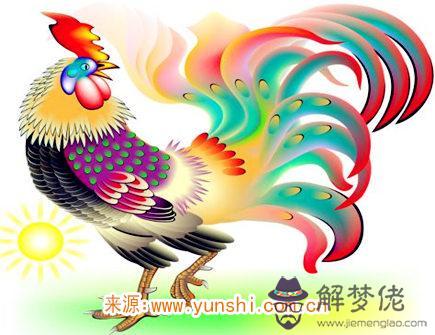 屬雞紋身紋什麽旺財