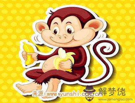 屬猴什麽時辰出生命苦