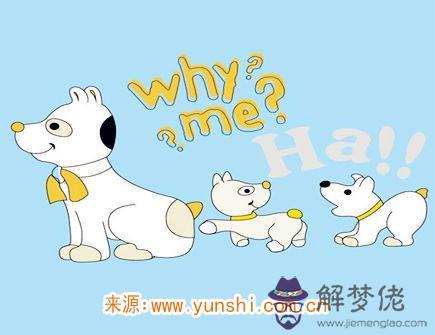 屬狗什麽時辰出生命苦