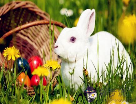 屬兔什麽時辰出生命苦 屬兔什麽時辰出生命苦