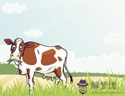 屬牛人開店擺放什麽招財 屬牛人開店擺放什麽招財