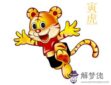 屬虎人開店擺放什麽招財 屬虎人開店擺放什麽招財