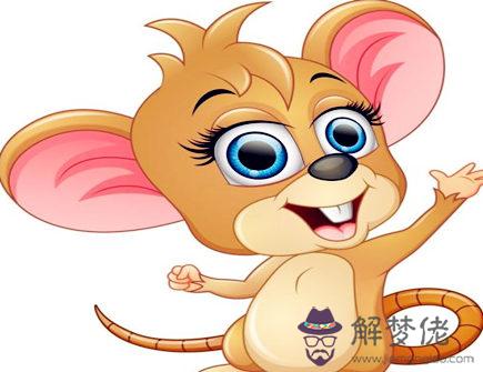 屬鼠起名忌諱什麽 屬鼠起名忌諱什麽