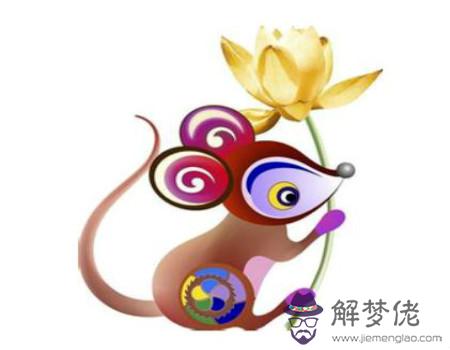 屬鼠適合開什麽顏色的車 屬鼠適合開什麽顏色的車