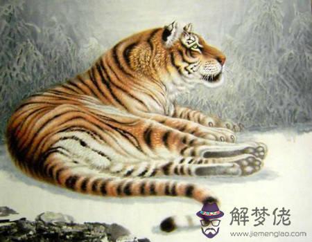 屬虎起名宜用字大全 屬虎起名宜用字大全