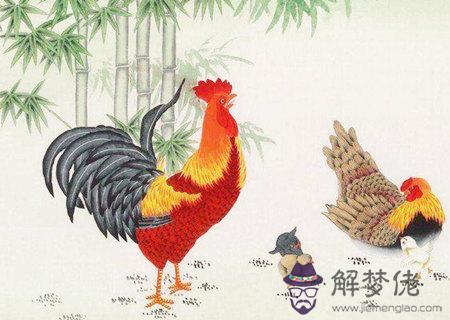 生肖雞最忌諱的顏色有哪些 生肖雞最忌諱的顏色有哪些