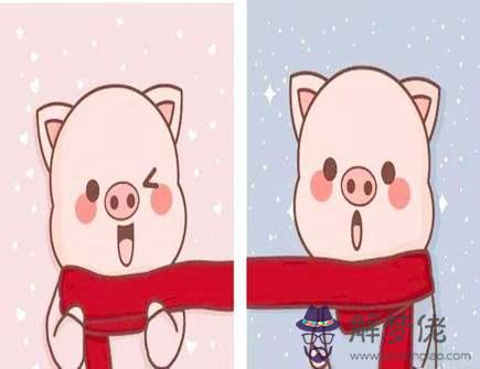 屬豬男喜歡什麽女人