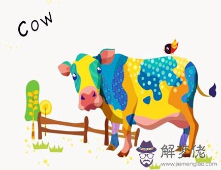 屬牛男喜歡什麽女人 屬牛男喜歡什麽女人