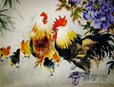 屬雞人和什麽生肖合作好 屬雞人和什麽生肖合作好