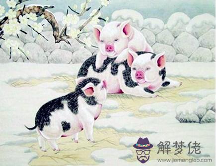 屬豬人和什麽生肖合作好 屬豬人和什麽生肖合作好